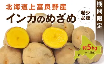 じゃがいも【インカのめざめ】約5kg（M～L混合）≪北海道上富良野産≫ 野菜 