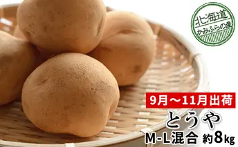 じゃがいも【とうや】約8kg（Ｍ～L混合）≪北海道上富良野産≫ 野菜 