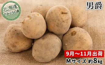 新じゃがいも【男爵】約8kg≪北海道上富良野産≫ 野菜 