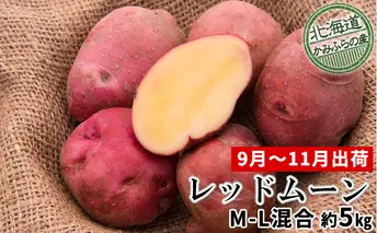 じゃがいも【レッドムーン】約5kg（M～L混合）≪北海道上富良野産≫ 野菜 芋 