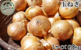 玉ねぎ約8kg（Lサイズ）≪北海道上富良野産≫ 野菜 たまねぎ 