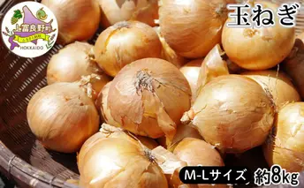 【令和8年発送】 先行予約 玉ねぎ 8kg （ M-L サイズ ） 北海道 上富良野産 野菜 たまねぎ オニオン 産地直送 新鮮 旬の野菜
