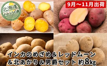 じゃがいも4種食べ比べセット計約8kg≪北海道上富良野産≫ 野菜 
