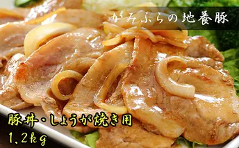 かみふらのポーク【地養豚】豚丼・生姜焼き用 ロース 1.2kg  (北海道 肉 焼肉 バーベキュー 希少部位 大容量 BBQ キャンプ 焼くだけ 焼肉 おかず ご飯がすすむ 丼 ぶた肉 お肉 焼き肉 限定 甘い)