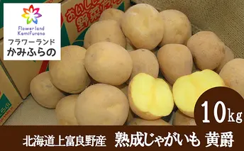 【北海道上富良野町産】蔵出し熟成じゃがいも 黄爵10ｋｇ							
 野菜 ジャガイモ 約10kg 