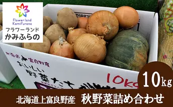 北海道 上富良野 町産 秋野菜 詰め合わせ セット 約 10kg じゃがいも 玉ねぎ かぼちゃ 産地直送 野菜 詰合せ