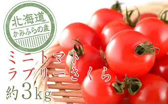 もぎたてミニトマト【ラブリーさくら】3kg≪北海道上富良野産≫ 野菜 とまと 