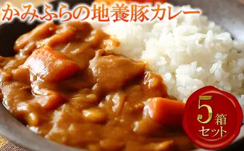 かみふらの地養豚カレー5箱セット 加工食品 惣菜 レトルト お肉 豚肉 