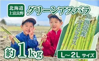 【2026年分先行予約】 アスパラガス 専門農家 の 特選 グリーン アスパラ 1kg  L~2L 原農園 アスパラ あすぱら 野菜 北海道 上富良野町