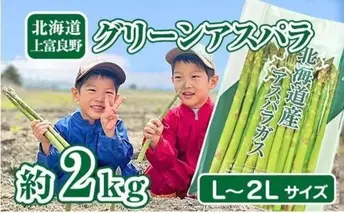 【2026年分先行予約】 アスパラ 専門農家 の 特選 グリーン アスパラ 2kg L~2L アスパラガス 原農園 あすぱら 野菜 北海道 上富良野町 グリーンアスパラ