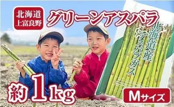 【2026年分先行予約】 アスパラ 専門農家 の 特選 グリーン アスパラ 1kg M アスパラガス 原農園 あすぱら 野菜 北海道 上富良野町 グリーンアスパラ