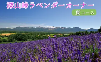 ラベンダーオーナー制度（夏コース） チケット 入場券 優待券 果物類 フルーツ アロマグッズ 