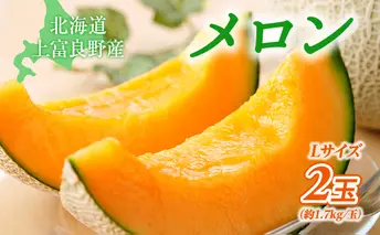 【糖度限界突破】ふらの赤肉メロン Lサイズ（約1.7kg/玉）2玉 2025年発送 北海道 富良野 上富良野 ふらの 赤肉 メロン めろん フルーツ 果物 ふるーつ 果物類 メロン赤肉 