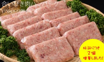 B10-107 佐賀県産合いびき肉ハンバーグ（150g×12個）おぎのからあげ