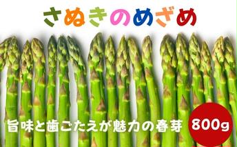 [先行予約] アスパラガス 早出し さぬきのめざめ 春芽 約800g 期間限定 丸亀産 アスパラ グリーンアスパラ 野菜 旬 旬の野菜 季節の野菜 産地直送 丸亀 香川 冷蔵 冷蔵配送 先行 予約 疲労回復 免疫力向上 食物繊維 ビタミンC 柔らかい 甘い 料理 おかず アスパラベーコン巻き 炒め フライ ポタージュ ふるさと納税アスパラ ふるさと納税野菜 香川県 丸亀市