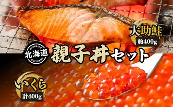 大助といくらの親子丼セット(甘塩大助切身1切 約100g×4切、いくら醤油漬け200g×2個) 鮭 サーモン 大助 魚貝類 魚卵 加工食品 いくら 北海道 鮭卵 鮭いくら イクラ丼 国産 北海道産 新鮮