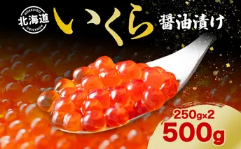 北海道 いくら醤油漬け 250g 2個 計500g 北海道 イクラ醤油漬け 小分け いくら 国産 イクラ 海鮮 魚介 魚卵 海産物 醤油漬け 鮭いくら 新鮮 寿司 刺身 おかず おつまみ 贅沢 お取り寄せ グルメ 贈り物 ギフト