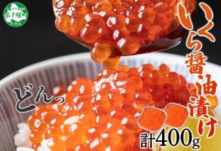 3201.いくら イクラ 醤油漬け いくら醤油漬け イクラしょうゆ漬け 海鮮 200g 送料無料 北海道 弟子屈町