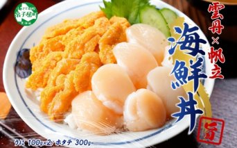 3406. うに ホタテ 豪華 海鮮 セット 4人前 ウニ チリ産 冷凍 200g ほたて 300g 雲丹 帆立 丼 刺身 送料無料 北海道 弟子屈町