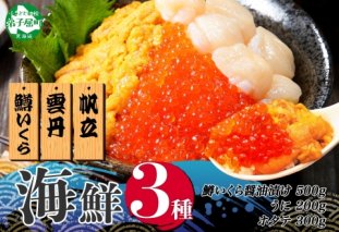 3350. 3種 海鮮丼 鱒 いくら醤油漬け 100g×5 5-6人前 ウニ チリ産 雲丹 うに 200g ホタテ 300g 帆立 いくら いくら醤油 イクラ 魚卵 海鮮 送料無料 北海道 弟子屈町