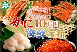 3143. カニ 豪華 海鮮 宝箱 グルメ タラバガニ タラバ蟹 たらば蟹 ズワイガニ ずわいがに ずわい蟹 ズワイ蟹 800g 紅ズワイ ポーション 500g×2 ホタテ 帆立 玉冷 500g いくら 220g 蟹 かに イクラ 送料無料 100000円 北海道 弟子屈町
