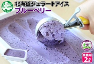 604.アイスクリーム ブルーベリー ジェラート 業務用 2リットル 2L アイス 大容量  手作り 北海道 弟子屈町