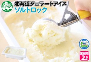 613.アイスクリーム ソルトロック ソルト ジェラート 業務用 2リットル 2L アイス 大容量  手作り 北海道 弟子屈町