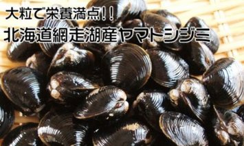 【定期便】全3回（毎月）北海道 網走湖産 冷凍しじみ 500g×3◇