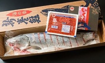 オホーツク海の秋鮭親子セット【ふるさと納税】14011-30025025