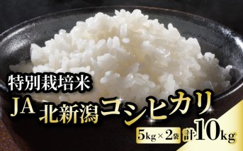 D04　ＪＡ北新潟コシヒカリ5㎏×2袋（特別栽培米）