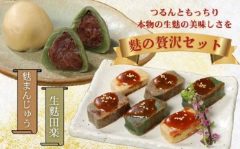 お菓子 和菓子 スイーツ 宮村の生麩・麩 まんじゅう 贅沢 セット【 生麩 麩 麩まんじゅう 生麩田楽 宮村製麩所 菓子 生麩 冷凍 麩屋 国産もち粉 セット 田楽味噌 和スイーツ よもぎ 粒あん 母の日 ギフト 】 I26