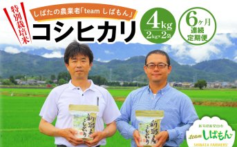 【R7年産先行予約】 新米 定期便 4kg×6ヵ月 新潟県産 特別栽培米コシヒカリ 新潟県 新潟産 新発田産 米 コシヒカリ 特別栽培米 しばもん 2kg 6ヵ月 定期便 D29_02