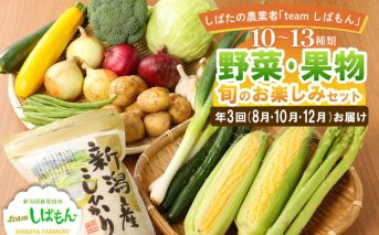 [年3回お届け] teamしばもん 季節の野菜セット [ 定期便 詰め合わせ C17_01 ]