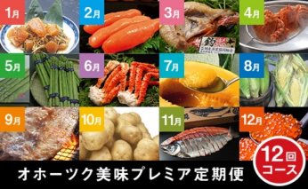 【頒布会12回】オホーツク美味プレミア定期便＜12回コース＞ 北海道 定期便