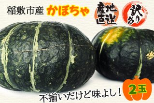 訳あり かぼちゃ 稲敷市産 1箱(2個入)GI認証なし 産地直送 採れたて完熟！大野さんのかぼちゃ｜南瓜 カボチャ 稲敷 江戸崎地区 完熟 [1024]