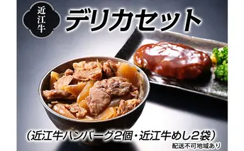 近江牛デリカセット お肉 ハンバーグ 加工品 惣菜 冷凍 牛肉 近江牛100％ 牛めし レンジ 