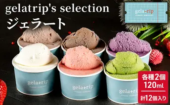 gelatrip's selection ジェラート12個 BOX 北海道 上富良野町 アイス アイスクリーム ジェラート デザート ギフト 贈呈 贈り物 ミルク 生乳 牛乳 お菓子 スイーツ 冷凍