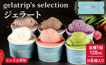 ≪6ヶ月定期便≫gelatrip's selection ジェラート6個BOX お菓子 アイス 冷凍 6カ月 6回 半年