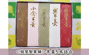 ＜槌屋製菓舗＞羊羹5本詰合 和菓子 ようかん 菓子 栗羊羹 小豆 あずき 
