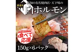 TKA005　白ホルモン 天下味オリジナル本格塩ダレ漬け（150g×６パック） 高知市共通返礼品 人気 牛肉 お肉 小腸 焼き肉 タレ 焼肉 BBQ バーベキュー 冷凍 小分け おつまみ どんぶり お手軽 食べて応援