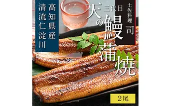 TRT002　“土佐料理司”三代目天の鰻蒲焼2尾セット／「仁淀川」水系の地下水使用 完全無投薬養殖 国産・高知県産〈高知市共通返礼品〉うなぎ 真空パック （ウナギ・たれセット） 
