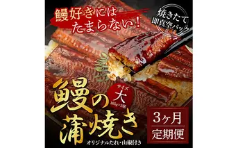 t119kgp　《3ヵ月定期便》人気惣菜 本気の高知ブランド鰻「西岡うなぎ」～上（大サイズ）～うなぎの蒲焼き2尾セット（約330g）タレ・山椒付き｜ウナギ 国産 特産品 鰻の蒲焼き 高知県産 土佐 グルメ 蒲焼 焼きたて 丼 うな重 ひつまぶし〈田野町共通返礼品〉