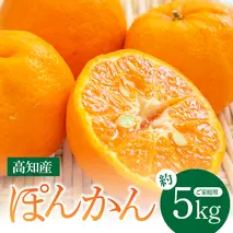 SKS027　訳あり “高知県産”ご家庭用ぽんかん（約5kg）〈須崎市共通返礼品〉みかん 農家直送 サイズ混合 有機質肥料100% ミカン 訳アリ ワケアリ 数量限定