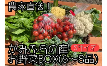 【2025年8月上旬頃から発送】農家直送！ミニトマト500g入り！朝採れ野菜詰め合わせボックスS（6～8品入り） セット 詰合せ JGAP認証農場 野菜ソムリエ 特別栽培農作物 旬の野菜 