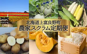 【 2025年 発送 】先行予約 北海道 上富良野 農家スクラム スペシャル 定期便 4回発送 メロン とうもろこし トウモロコシ じゃがいも ジャガイモ かぼちゃ カボチャ お米 ゆめぴりか 果物 フルーツ 野菜 新米