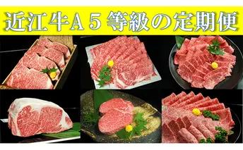 近江牛A5等級の定期便【年6回お届け・隔月】