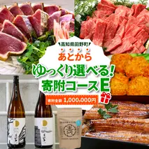 返礼品は後からゆっくり選べる寄附コース★E★ あとから選べる おすすめ 人気 カツオ カツオのたたき うなぎ 鰻 肉 酒 塩 魚 魚介 カタログ 1000000円