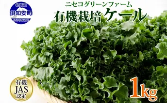北海道産 旬の有機栽培野菜 ケール 1kg 有機栽培 オーガニック オーガニック野菜 有機野菜 有機jas認証 西洋野菜 ケール 生葉 青汁 スムージー 緑黄色野菜 新鮮 お取り寄せ ハーブ 野菜セット 
