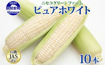 北海道産 旬の有機栽培野菜 ピュアホワイト 10本 3kg以上 とうもろこし 白 有機栽培 オーガニック 有機野菜 有機jas認証 西洋野菜 コーン 新鮮 お取り寄せ 送料無料 ニセコグリーンファーム 北海道 倶知安町 甘い 