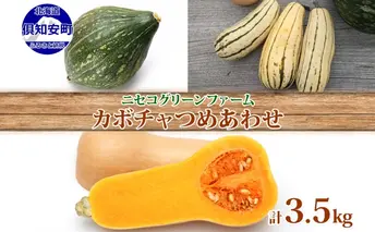 北海道産 旬の有機栽培野菜 かぼちゃ 3.5kg ミニバターナッツ デリカタ ロロン 有機栽培 オーガニック 有機野菜 有機jas認証 西洋野菜 新鮮 お取り寄せ 送料無料 ニセコグリーンファーム 北海道 倶知安町 詰め合わせ 